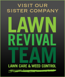 lawn revival team lawn care and weed control
