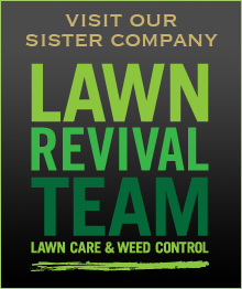 lawn rescue team