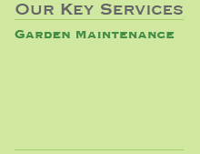 garden maintenance