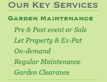 garden clearance