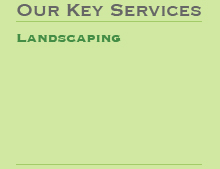 landscaping