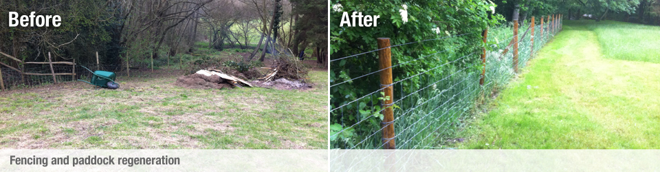 new fencing and paddock regeneration