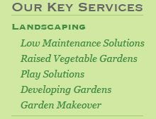 garden makeover