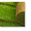 rolled turf